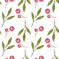 nahtlos Muster von stilisiert rot Sakura Kirsche Beeren und Grün Blätter auf ein Weiß Hintergrund. Hand Zeichnung. vektor