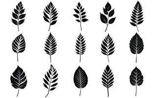 Birke Blatt Silhouetten, Birke Baum Ast mit Blätter. vektor