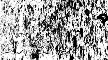 ein schwarz und Weiß Jahrgang Grunge von ein Mauer mit malen, grungy Lärm schwarz und Weiß vektor