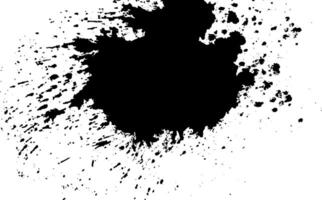 schwarz Tinte Spritzer auf Weiß Hintergrund, Grunge Bürste Schlaganfall, kritzeln Vektor, vektor