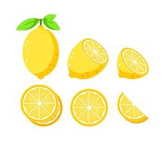 uppsättning skildrar hela och skära citroner med löv, idealisk för kulinariska och hälsa teman vektor