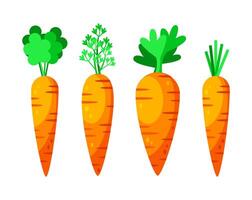 Karotte mit verlassen. Ostern Möhren Satz. Gemüse, gesund oder vegan Lebensmittel. Vektor Illustration