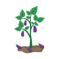 Aubergine Baum Illustration vektor