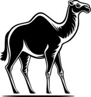 kamel, svart och vit vektor illustration