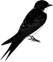 ai generiert Silhouette schlucken Vogel schwarz Farbe nur voll Körper vektor