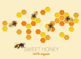 Papier Schnitt Bienenwabe, Honig und Biene Vektor Banner