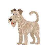 Karikatur komisch Hund im eben Stil. isoliert irisch Wolfshund auf Weiß Hintergrund. Vektor Clip Kunst zum drucken, Poster, Abdeckungen, Postkarten und usw. süß Porträt von reinrassig Welpe.