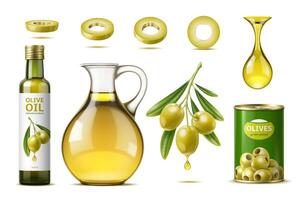realistisch Olive Öl Krug, und Flasche mit Oliven vektor