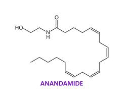 neurotransmittor anandamid syra kemisk formel vektor
