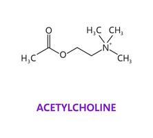 Neurotransmitter Acetylcholin chemisch Formel vektor