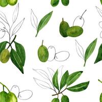 Bleistift und Aquarell Oliven nahtlos Muster mit Olive Geäst und Früchte zum Italienisch Küche Design vektor