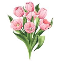 Strauß von Tulpen auf ein isoliert Hintergrund im Karikatur Stil. Frühling Rosa Blumen zum Damen Tag, Ostern. Vektor Blumen- Illustration.