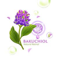 bakuchio serum naturlig retinol för hud vård kosmetisk affisch, baner design vektor