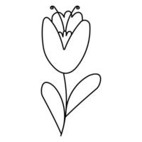 Frühling Linie Blumen zum Dekoration und Geschenk vektor