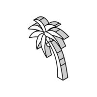 Palme Baum Kokosnuss isometrisch Symbol Vektor Illustration