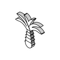 palmträd isometrisk ikon vektorillustration vektor