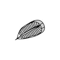Plumeria tropisch Blatt isometrisch Symbol Vektor Illustration