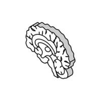 neurologi hjärna isometrisk ikon vektor illustration
