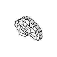 Granatapfel Korn saftig isometrisch Symbol Vektor Illustration