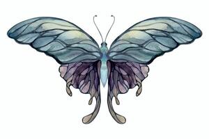 hand dragen vattenfärg illustration fjäril fe- vingar pärla kristall insekt fjäril. ametist opal månsten flusspat pärla. enda objekt isolerat vit bakgrund. design skriva ut, affär, bröllop, födelsedag vektor