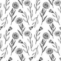 calendula växt sömlös mönster upprepa bakgrund hand dragen medicinsk daisy blomma löv vektor ört- graverat bakgrund botanisk skiss för te, organisk kosmetisk, medicin aromaterapi textil-