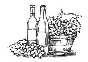 Flaschen von Wein und ein Korb von Trauben. Jahrgang Zeichnung im skizzieren Stil. schwarz und Weiß Illustration vektor