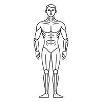 kroppsbilder kontinuerlig linje konst vektor illustration