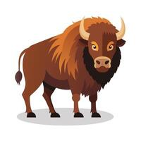 amerikan bison vektor platt illustration på vit bakgrund
