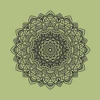 luxuriös mandala, Mandala Design, ethnisch dekorativ Element. Hand gezeichnet Hintergrund. Islam, Arabisch, indisch, Ottomane Motive. Retro-inspiriert Mandala vektor