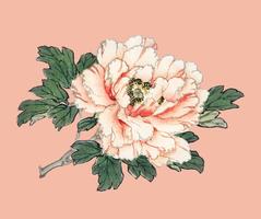 Rosa Rose von K? No Bairei (1844-1895). Digital verbessert aus unserer eigenen Originalausgabe von Bairei Gakan von 1913 vektor