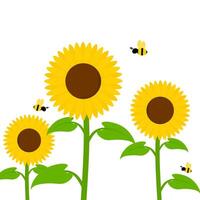 Vektor Illustration von Sonnenblume mit Honig Biene isoliert auf Weiß Hintergrund. Blumen mit Blühen Blütenblätter und anders Größen. geeignet zum Frühling und Sommer- Entwürfe.