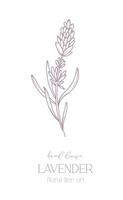 lavendel- linje teckning. svart och vit blommig buketter. blomma färg sida. blommig linje konst. bra linje lavendel- illustration. hand dragen blommor. botanisk färg. bröllop inbjudan blommor vektor