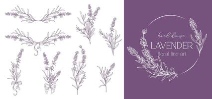 lavendel- linje teckning. svart och vit blommig buketter. blomma färg sida. blommig linje konst. bra linje lavendel- illustration. hand dragen blommor. botanisk färg. bröllop inbjudan blommor vektor