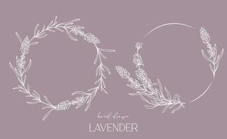 lavendel- linje teckning. svart och vit blommig ramar. blommig linje konst. bra linje lavendel- illustration. hand dragen översikt blommor. botanisk färg sida. bröllop inbjudan blommor vektor