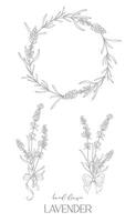 Lavendel Linie Zeichnung. schwarz und Weiß Blumen- Rahmen. Blumen- Linie Kunst. fein Linie Lavendel Illustration. Hand gezeichnet Gliederung Blumen. botanisch Färbung Buchseite. Hochzeit Einladung Blumen vektor