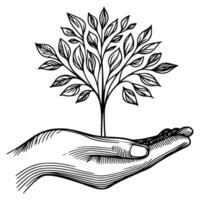 Nahansicht Hände halten schwarz Linie Baum sprießen wachsend von Boden auf Hände. Erde Planet Schutz Konzept Tag vektor