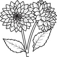 Dahlie Blume Färbung Seiten. Dahlie Blumen Gliederung Vektor