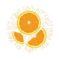 vektor illustration av en färgrik orange, halv och skivor. hand ritade. isolerat på vit bakgrund.