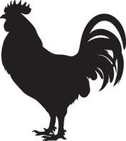 kyckling silhuett vektor illustration vit bakgrund