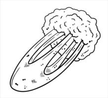 Sellerie Karikatur Hand gezeichnet Illustration. Grün Gemüse. gesund Ernährung. Zutaten zum Salat isoliert auf Weiß. schwarz und Weiß Färbung vektor