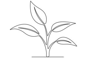 kontinuierlich Single Linie Kunst Zeichnung von Pflanze können Sein zum Pflanzen, Landwirtschaft, Saat Gliederung Vektor