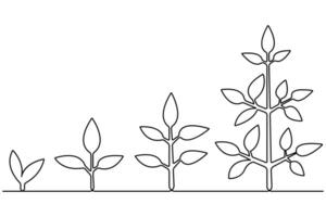 växt växande kontinuerlig ett linje konst teckning av träd växt översikt vektor illustration