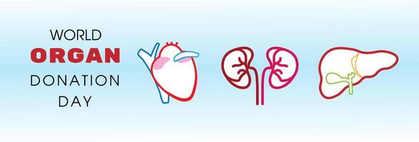 värld organ donation dag med njurar, hjärta, eller lever för transplantation vektor