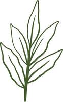 ästhetisch Grün Laub Blätter Linie Kunst Zeichnung Vektor Illustration zum Natur und botanisch Banner Element Dekoration