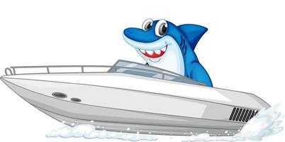 Hai auf Schnellboot-Cartoon-Figur auf weißem Hintergrund vektor