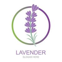 Lavendel Logo Vorlage Vektor Symbol Natur