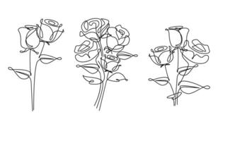einer Linie Zeichnung. Garten Rose mit Blätter. Hand gezeichnet skizzieren. vektor