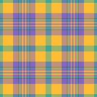 Muster Tartan Vektor von Plaid Stoff Hintergrund mit ein Textil- nahtlos Textur überprüfen.