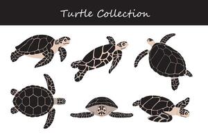 Meer Schildkröte Sammlung. Vektor Illustration