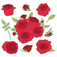 einstellen von rot Rosen Sammlung und Grün Blätter zum Hochzeit oder Valentinstag Gruß Karte oder Einladung Design Vektor